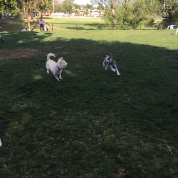 Dog Park at Woodglen Vista photo 1
